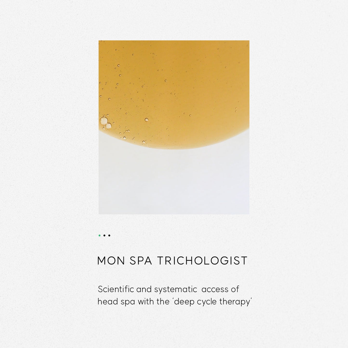 Monspa Trichologist Curriculum / Certification Program